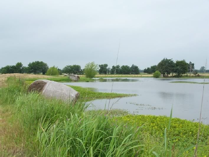 DUCK HUNTING POND PLANS - Pond Boss Forum